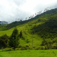 Портфолио Ксения